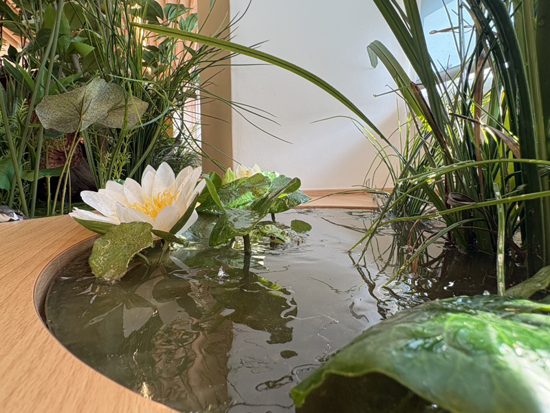 フェイクグリーンレンタル事例