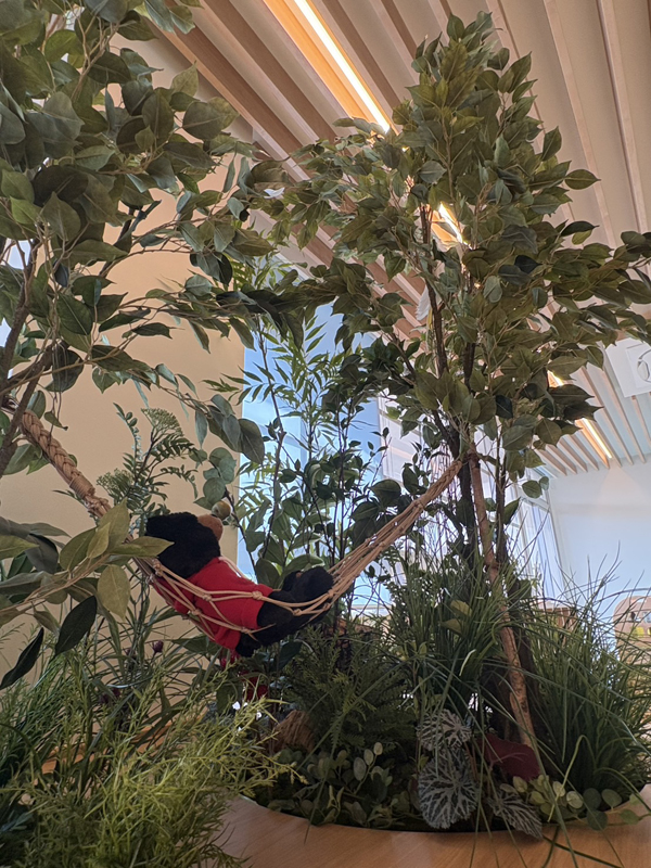 フェイクグリーン事例