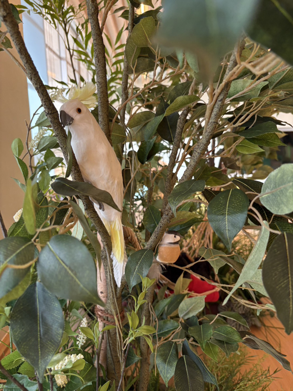 フェイクグリーン事例