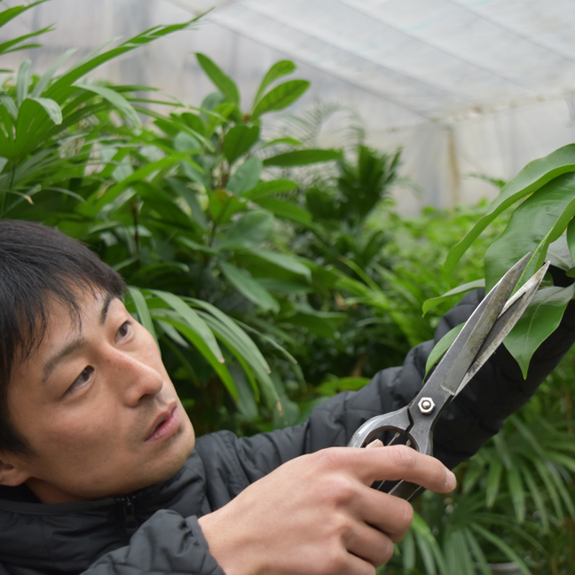 植物は維持ではなく活かすもの