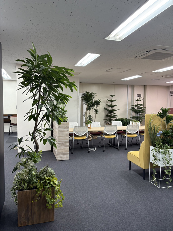 2025年レンタル事例