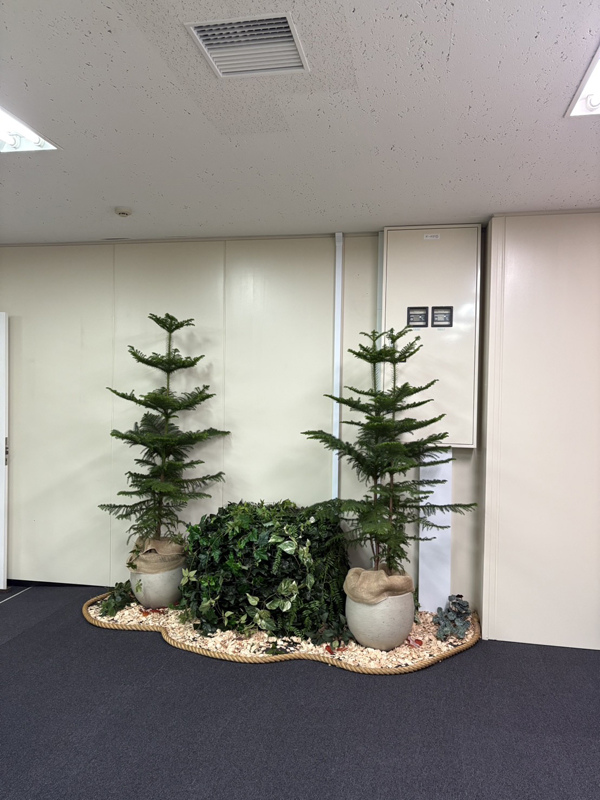 2025年レンタル事例