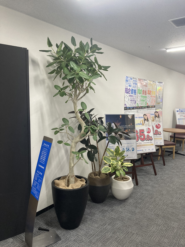 2025年レンタル事例