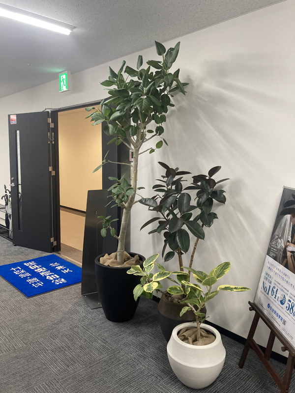 2025年レンタル事例