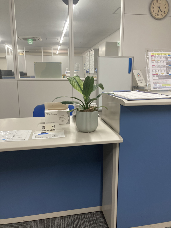 2025年レンタル事例