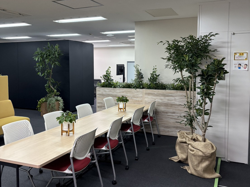 2025年レンタル事例