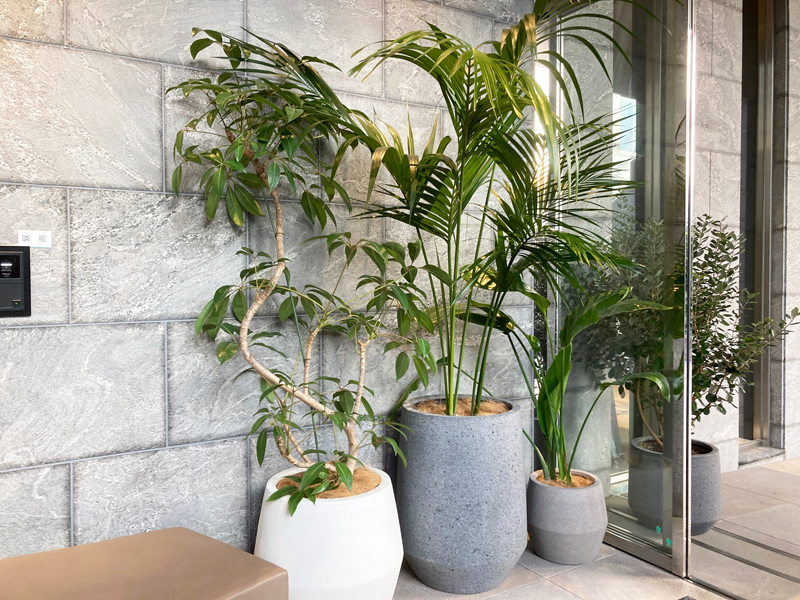 グリーンレンタル2026事例