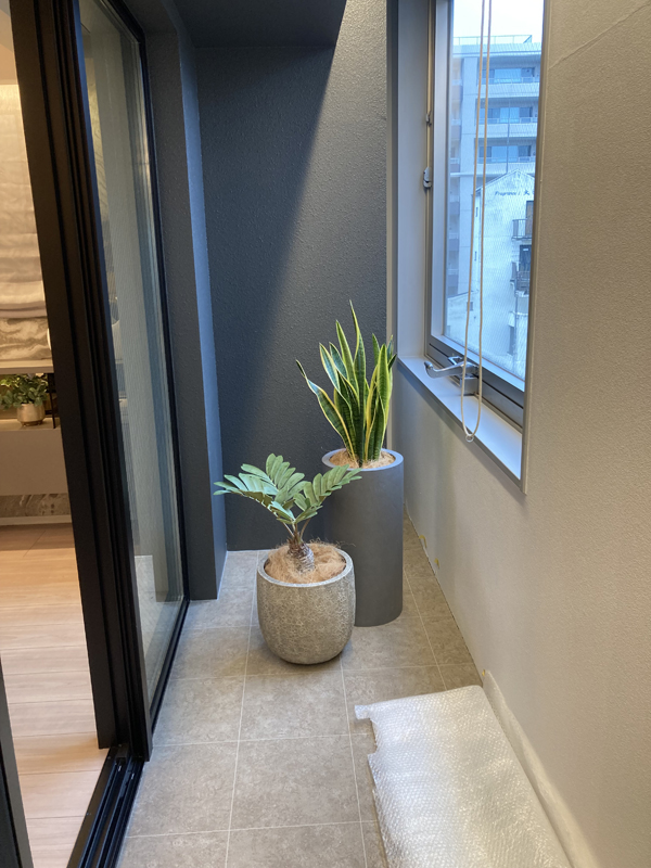 2026年レンタル事例