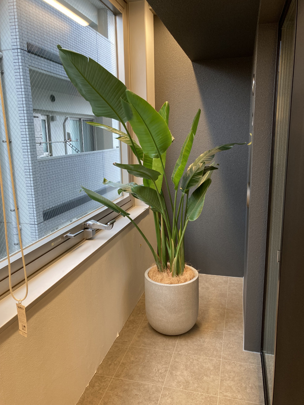 2024年レンタル事例