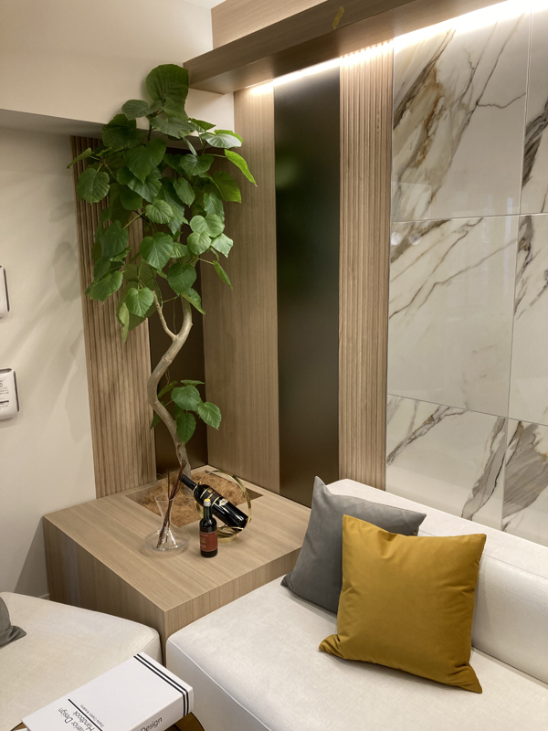 2024年レンタル事例