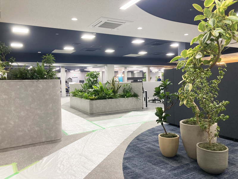 2024年レンタル事例