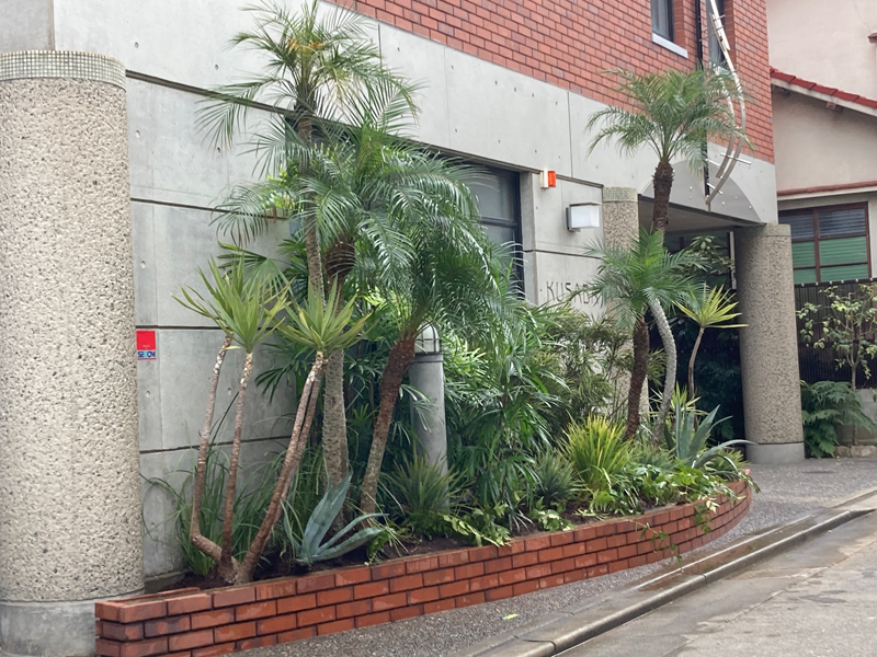 2024年レンタル事例