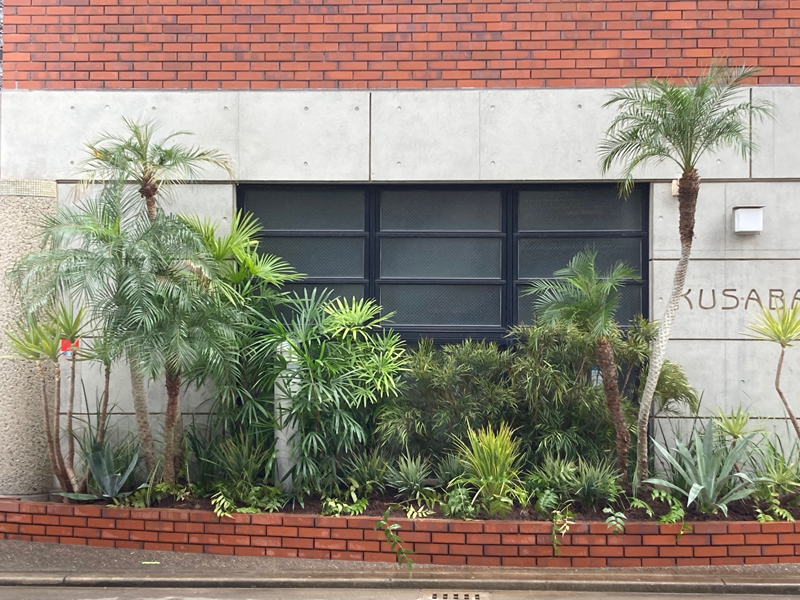 2024年レンタル事例