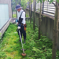 植木・庭木のお手入れ