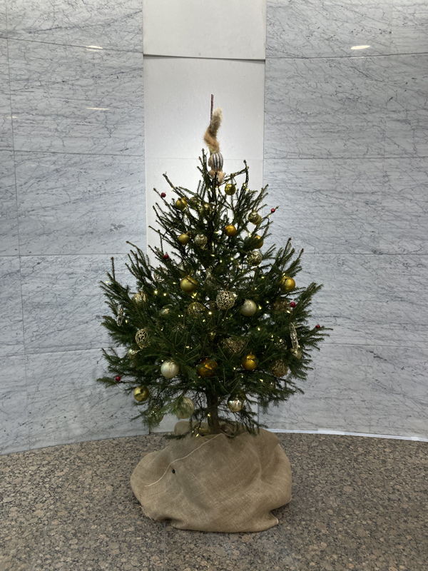 クリスマスツリーレンタル2025事例